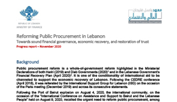 Progress report-Public procurement reform-nov20 cover