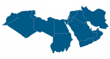 MENA governance data image