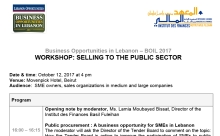 Selling to the public sector