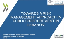 Towards a risk management approach to public procurement