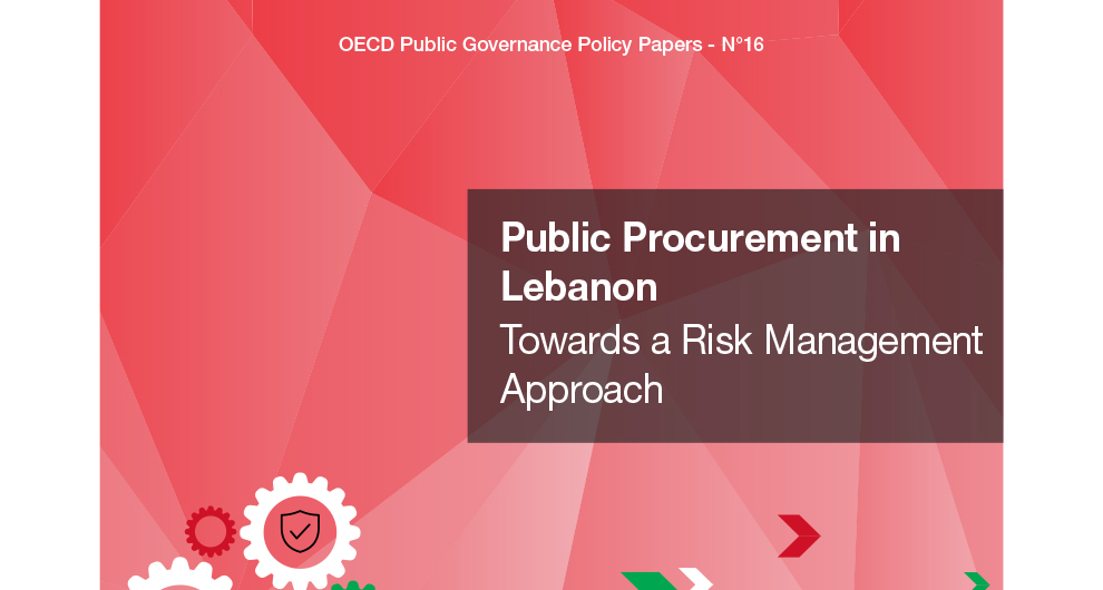 Public procurement in Lebanon: Towards a risk management approach