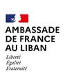 Ambassade de France logo