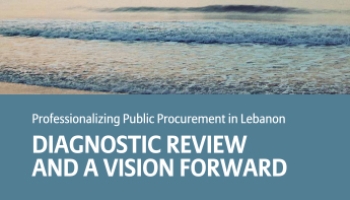 Professionalizing Public Procurement in Lebanon cover